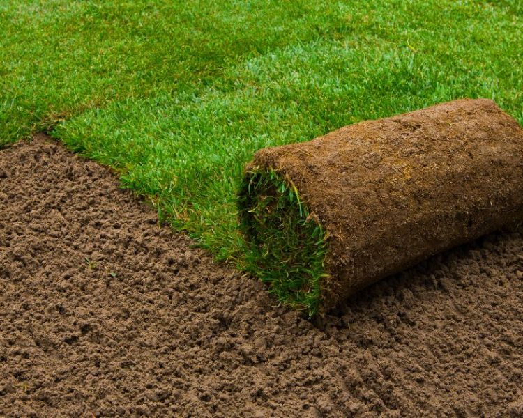 What Is The Difference Between Natural & Synthetic Turf?