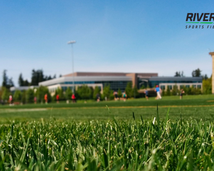 The Winter Playbook for Sports Turf: Proven Tips to Preserve Field Integrity & Playability