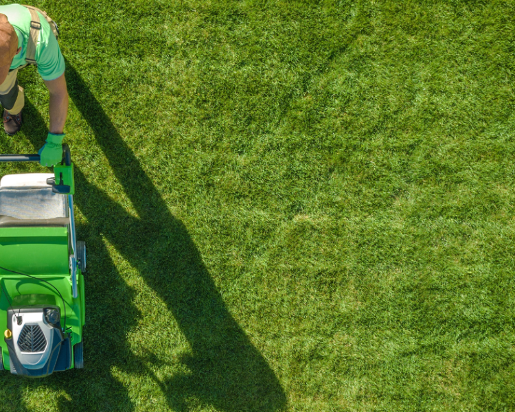 Seasonal Challenges: Solving Sports Field Issues Through the Year