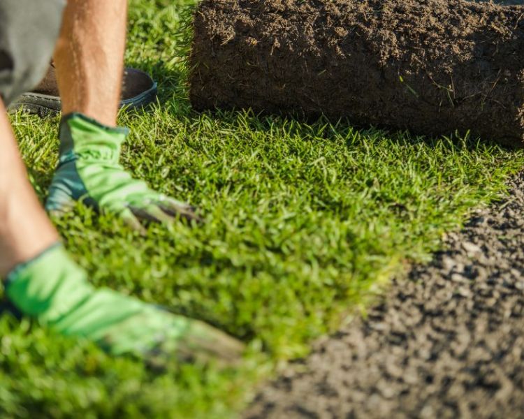 How Are Sports Fields Constructed?