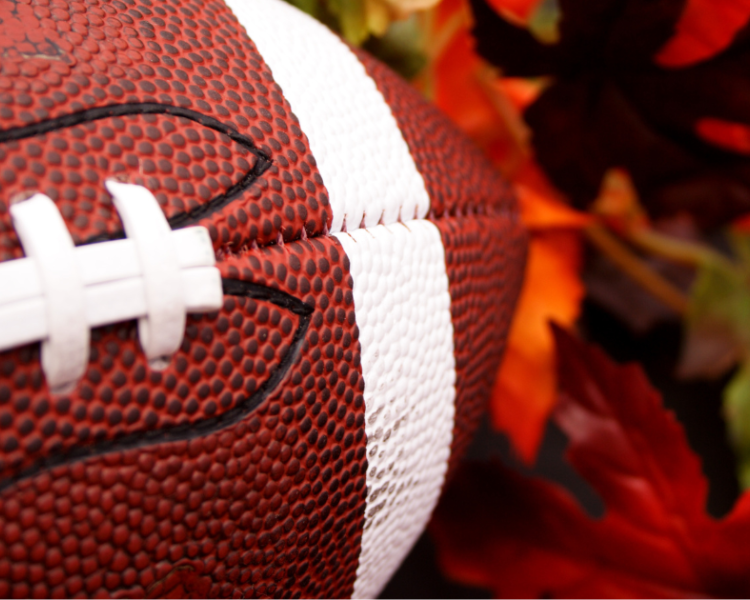 Fall Maintenance Guide: Preparing Sports Fields for Changing Seasons