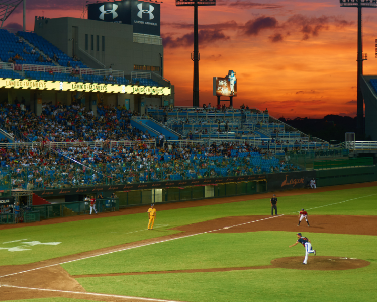 Game-Changing Upgrades: Enhancing Sports Fields for Peak Performance